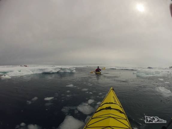 A Ana rema seu caiaque na gelada Kinnes Cove, na Antártida